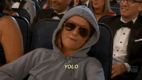 yolo gif